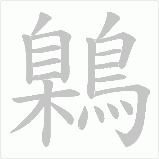 鷍笔顺动图