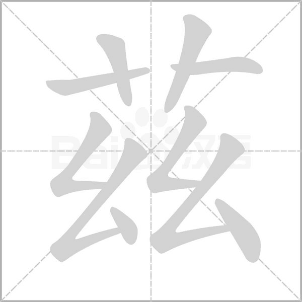 茲笔顺动图