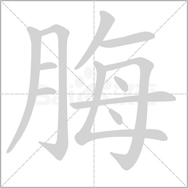 脢笔顺动图