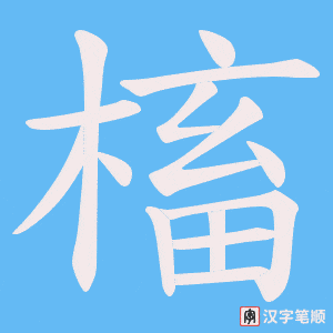 槒笔顺动图