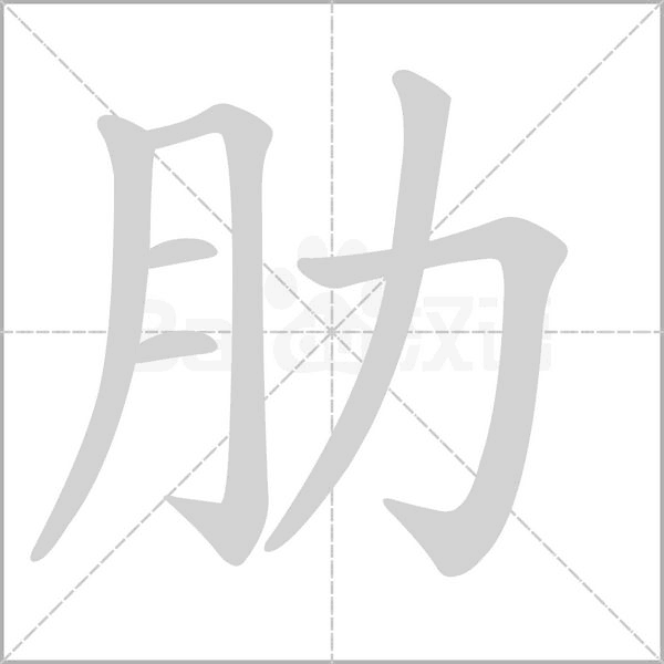 肋笔顺动图