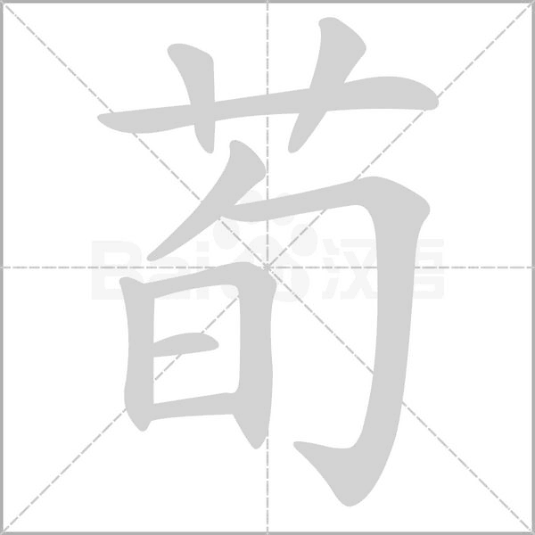荀笔顺动图