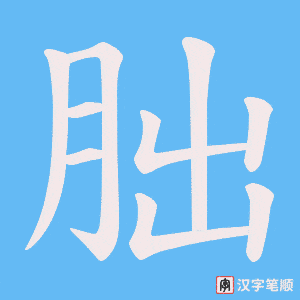 朏笔顺动图