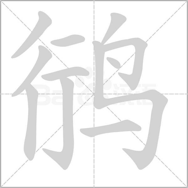 鸻笔顺动图