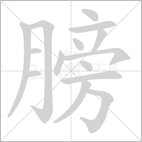 膀笔顺动图