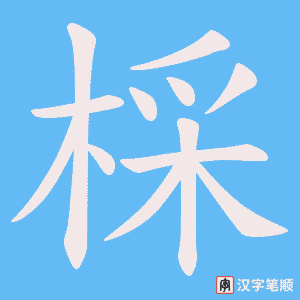 棌笔顺动图