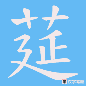 莚笔顺动图