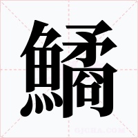 鱊笔顺动图