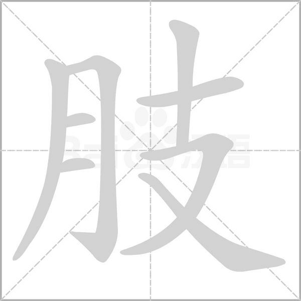 肢笔顺动图