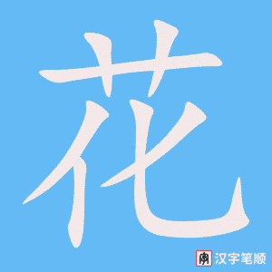 花笔顺动图