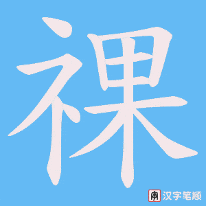 祼笔顺动图