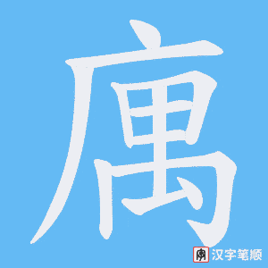 庽笔顺动图