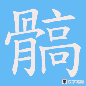 髇笔顺动图