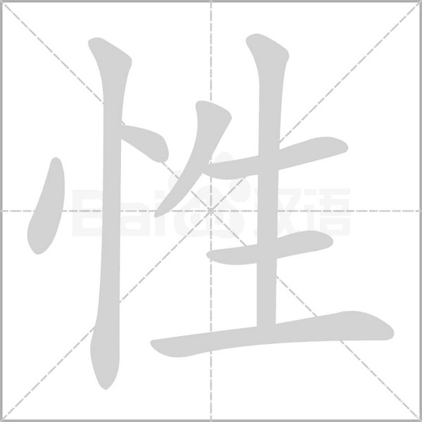 性笔顺动图