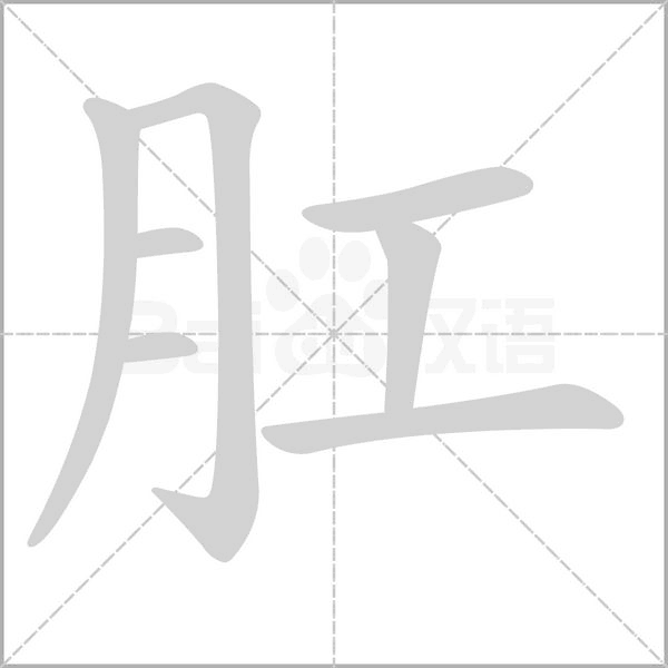 肛笔顺动图