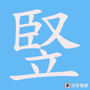 竪笔顺动图