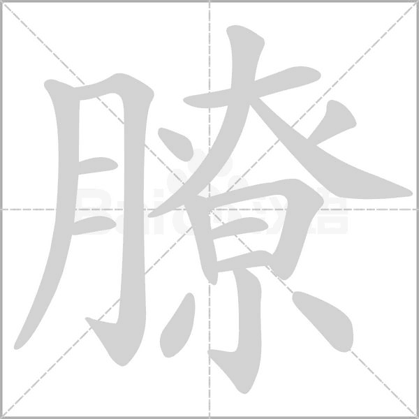 膫笔顺动图