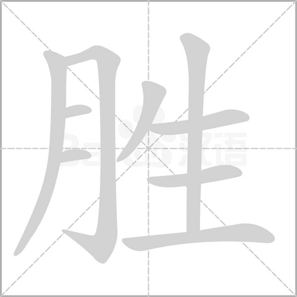 胜笔顺动图