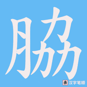 脇笔顺动图