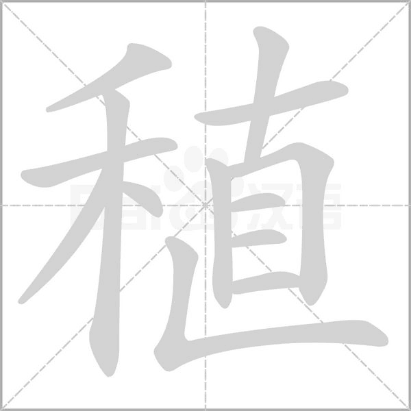 稙笔顺动图