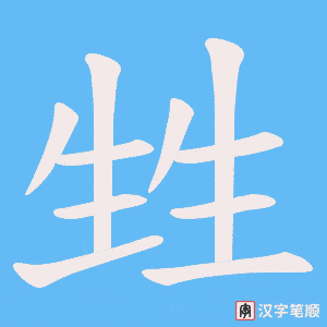 甡笔顺动图