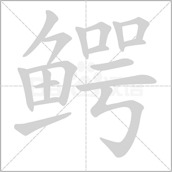 鳄笔顺动图