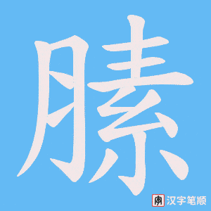 膆笔顺动图