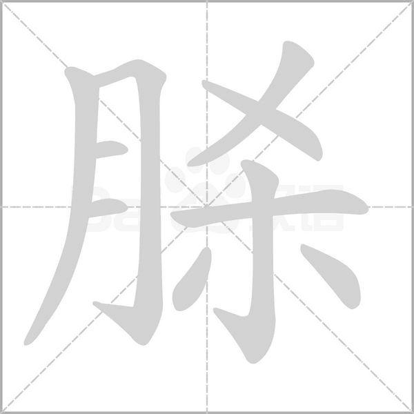 脎笔顺动图