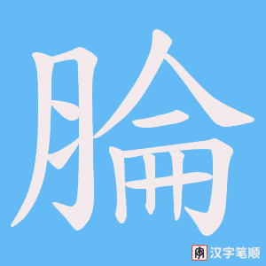 腀笔顺动图
