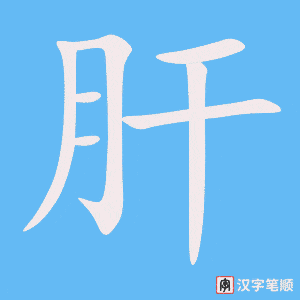 肝笔顺动图