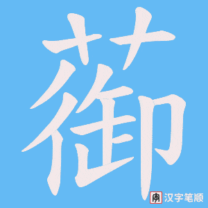 蓹笔顺动图