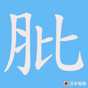 肶笔顺动图