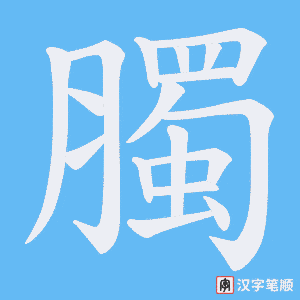 臅笔顺动图