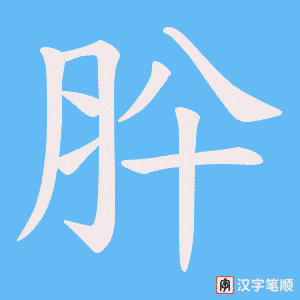 肸笔顺动图