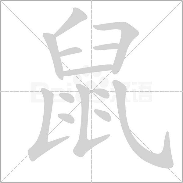 鼠笔顺动图