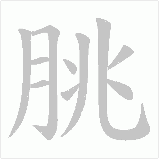 朓笔顺动图
