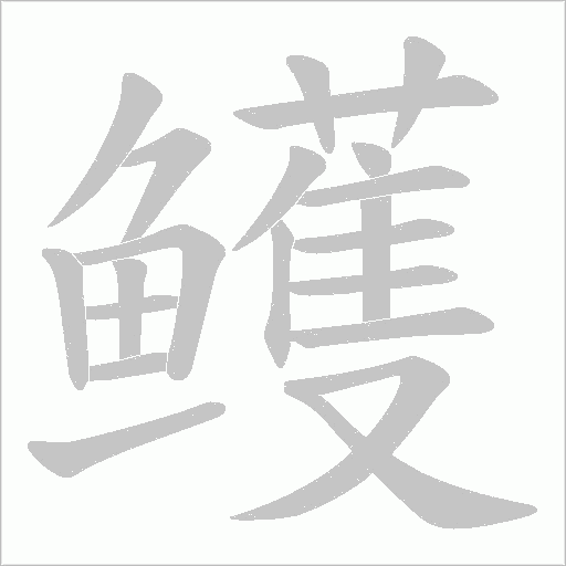 鳠笔顺动图