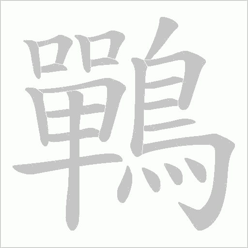 鷤笔顺动图