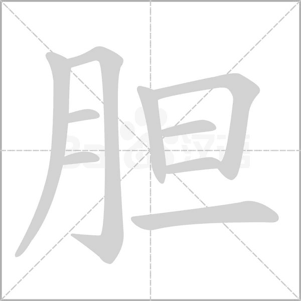 胆笔顺动图