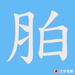 胉笔顺动图