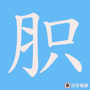 胑笔顺动图
