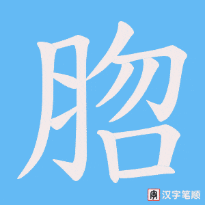 脗笔顺动图