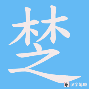 椘笔顺动图