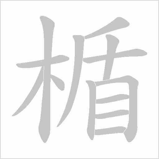 楯笔顺动图