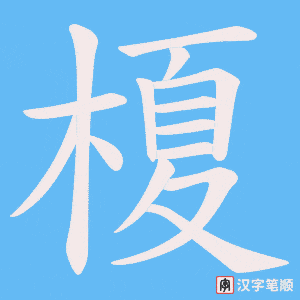 榎笔顺动图