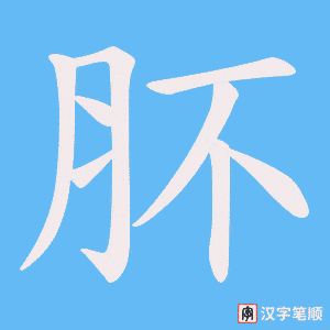 肧笔顺动图