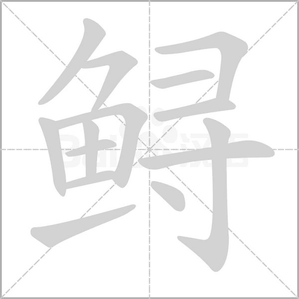 鲟笔顺动图
