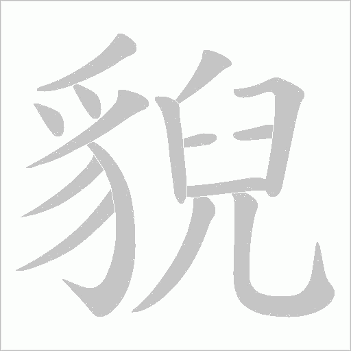 貎笔顺动图