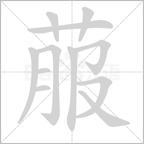 菔笔顺动图