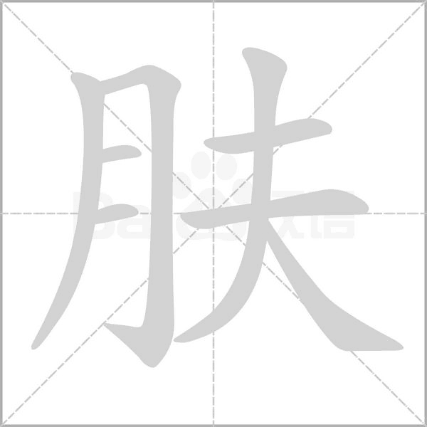 肤笔顺动图